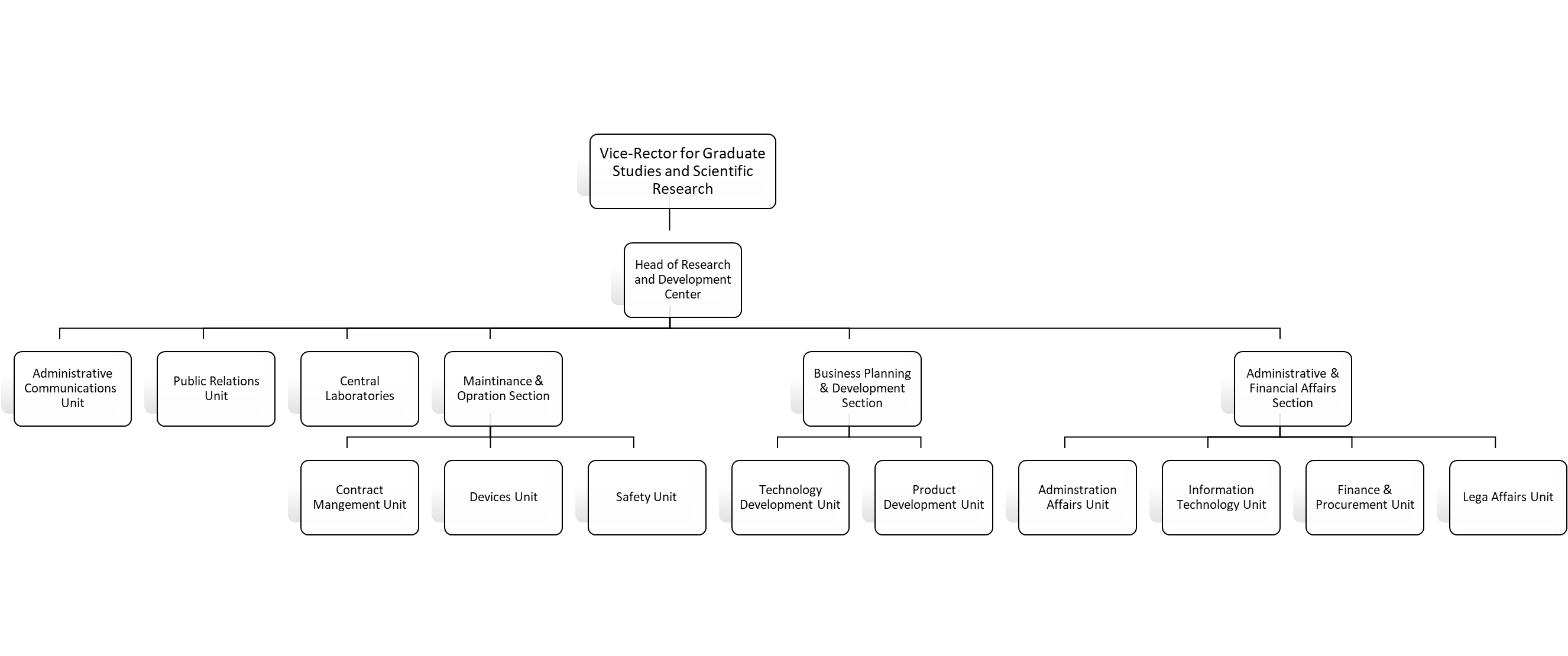 Organizational Structure